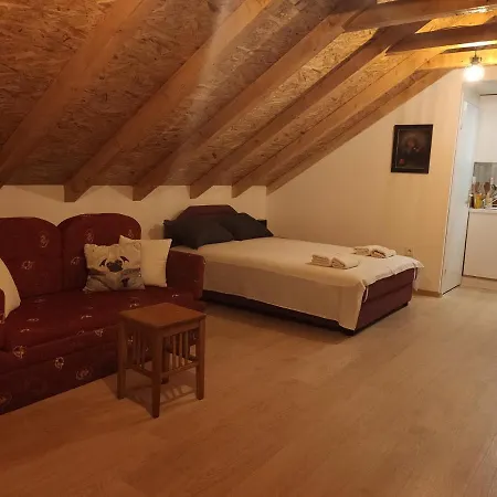 Apartments Alisa 科托尔 外观 照片
